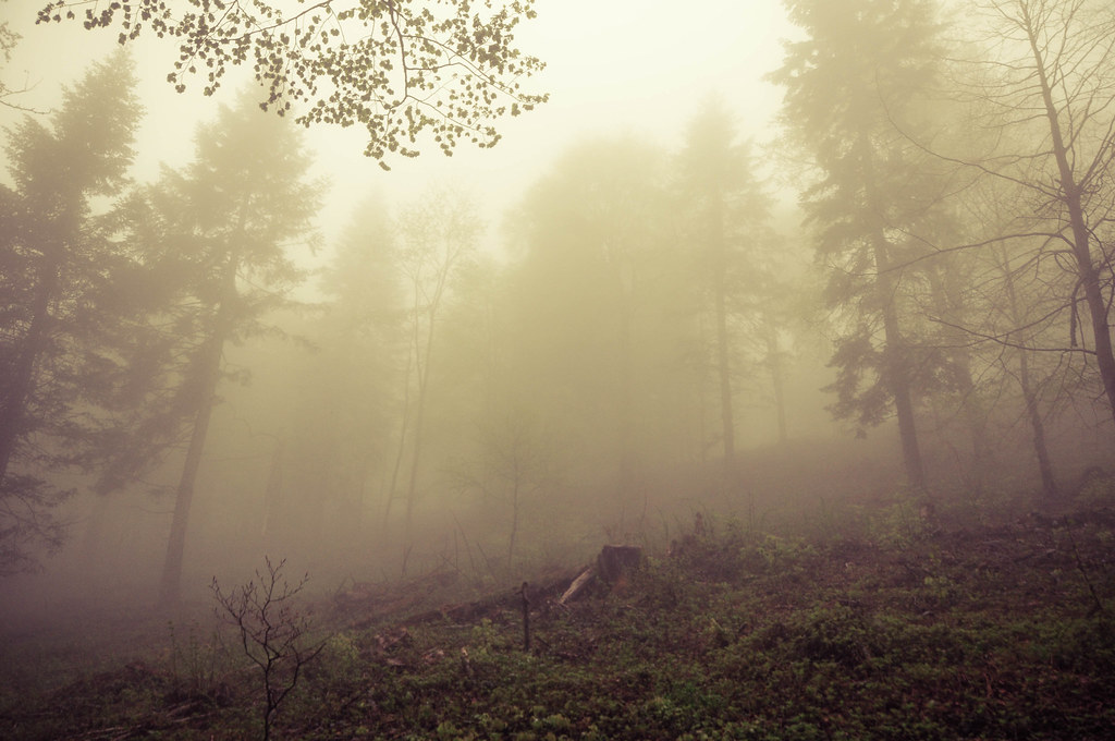 Best Atmospheric Black Metal Albums