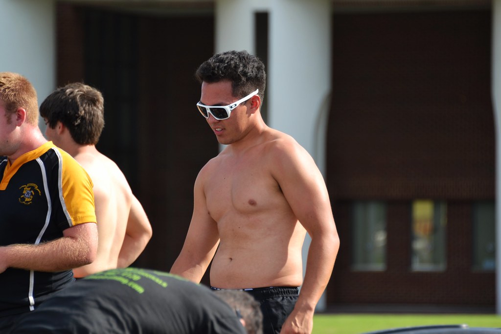 The Sunglasses
