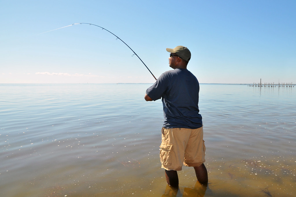 Shore Fishing