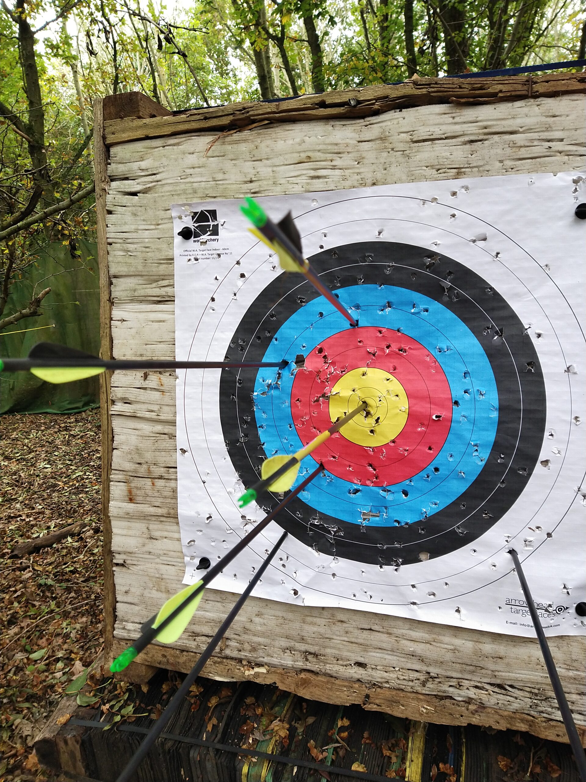 Best Arrows For Samick Sage Takedown Recurve Bow