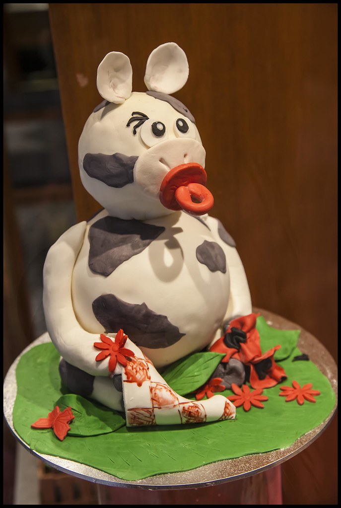 Iced Pussy Cat cake Brisbane Arcade