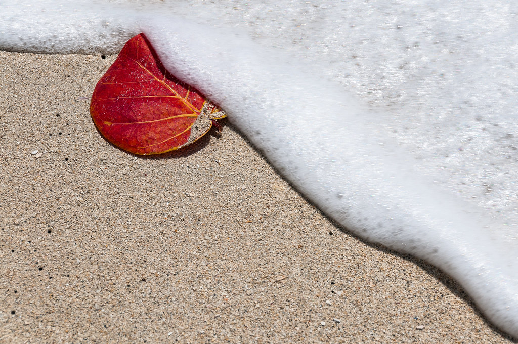 Foam sheet