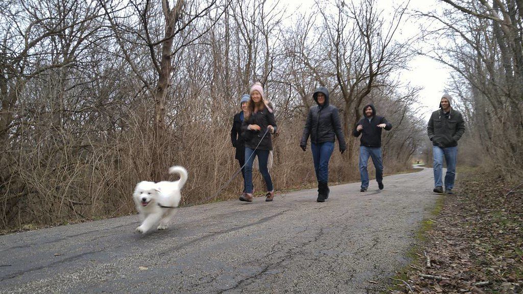 brothers & sisters! and 2mo old puppy Pyrenees :) #Chistmas #illinois family