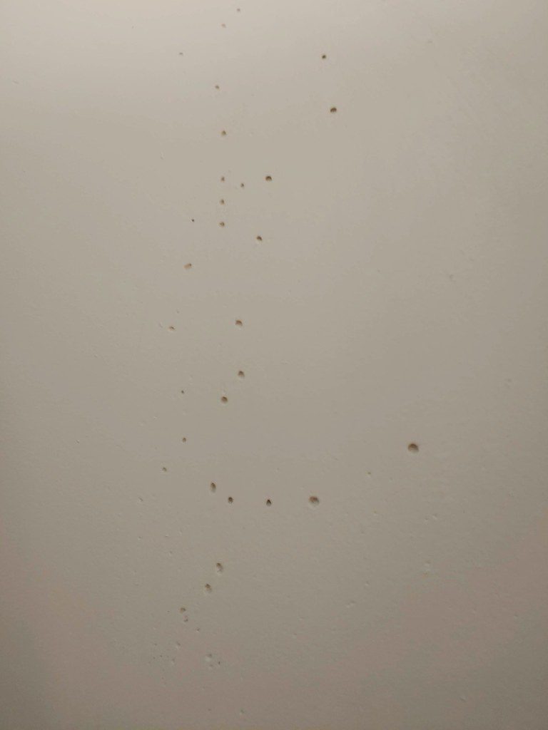 Demo Phase 5: Fill in bubbles with joint compound (+sand!)