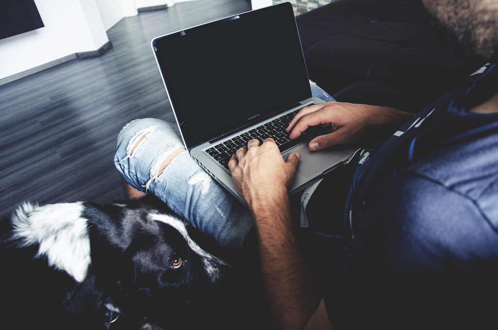 Man Holding Laptop Computer Typing While Dog Watches