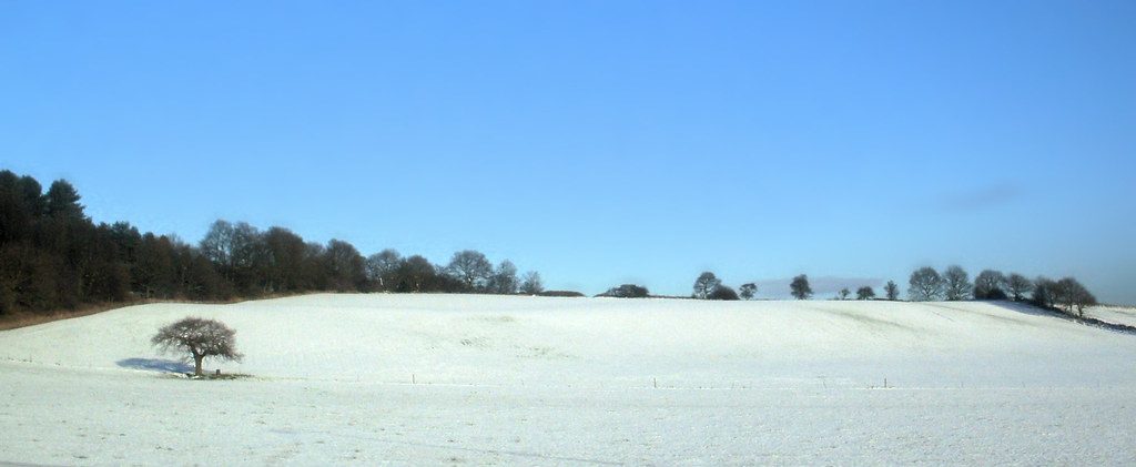 Snow Landscape