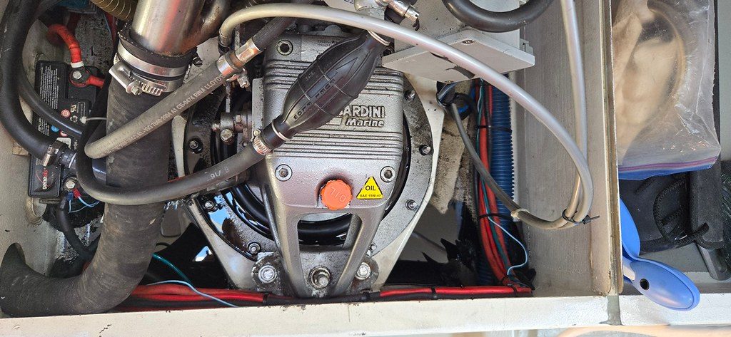 Engine had been bleeding out oil due to a loose oil filter
