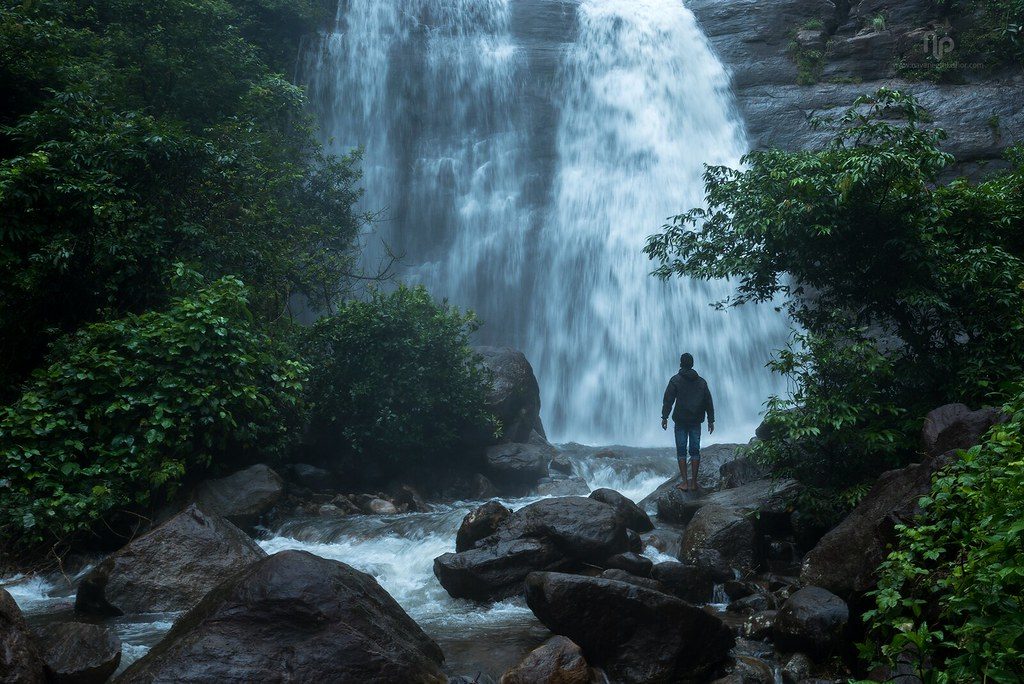 Monsoon