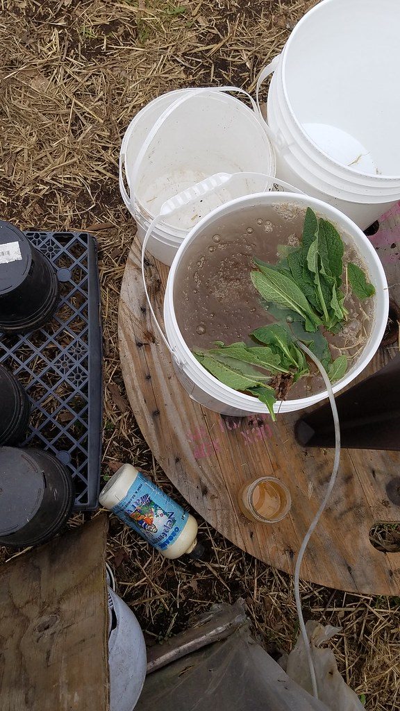 Compost Tea