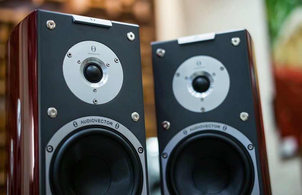 Close Up Shot of Bookshelf Speakers