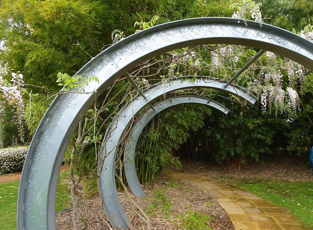 Dubbo. Curved steel arch support for a white Wisteria. In the Dubbo Botanic Gardens. The Shoyoen Japnese Garden.