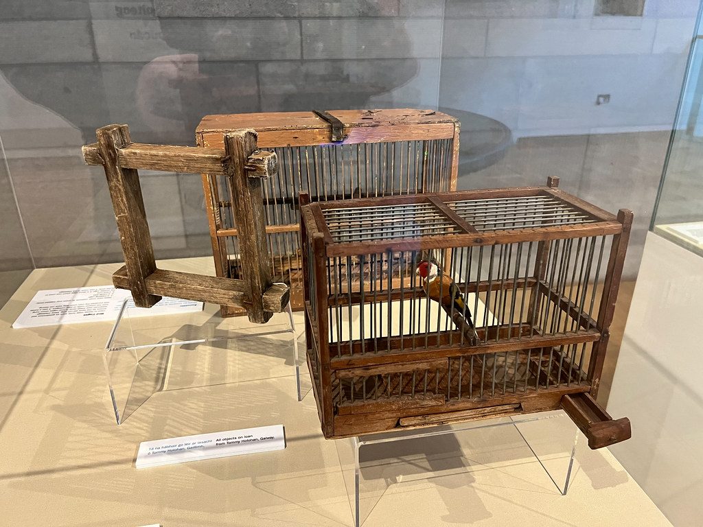 Handmade bird cages
