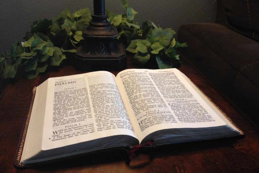 Free open book wooden table
