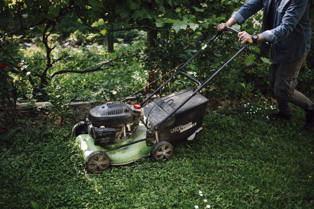 Lawn care in a vibrant garden as a person mows the grass on a sunny day