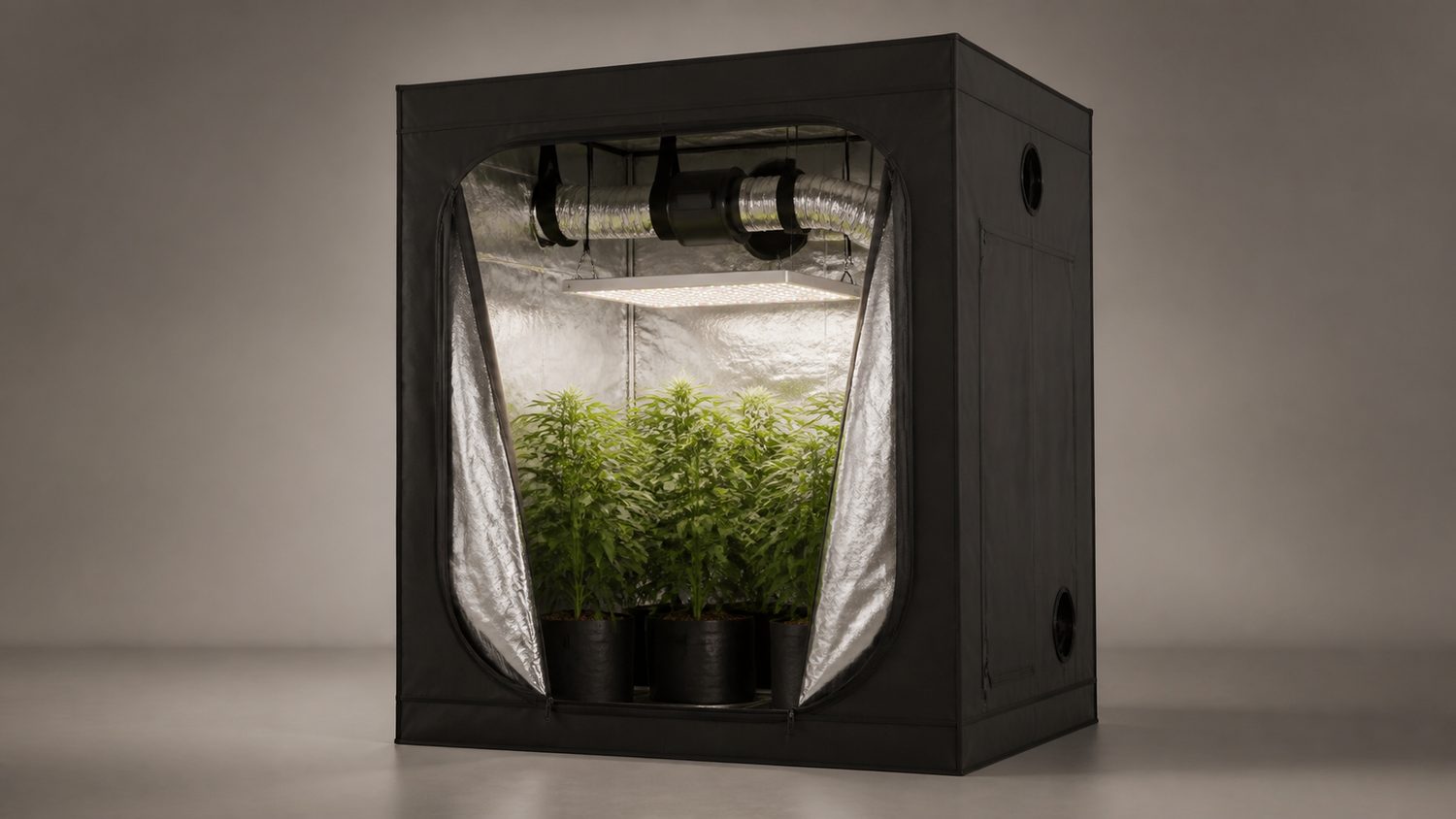 Illustration for choice products grow tent