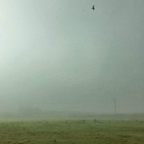 Fog || I've said it before... I love it... We left Canberra mid morning on Saturday and the fog didn't lift until we reached Cooma. I'm off for the weekend (yes, I know it's almost finished) and I've found myself without an internet connection! So bear wi