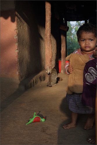 toys, diwan tembrun