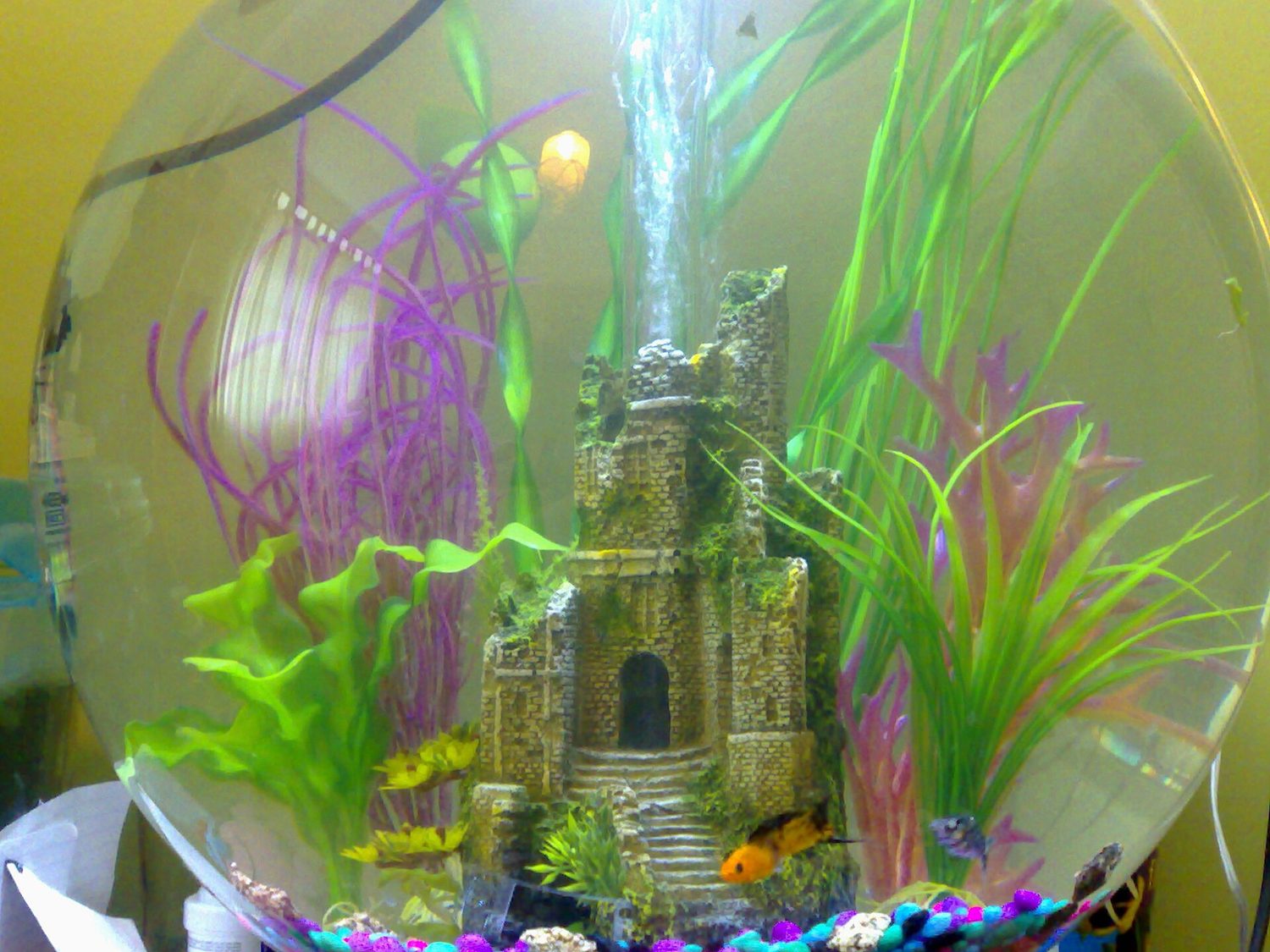 Biorbfishtank
