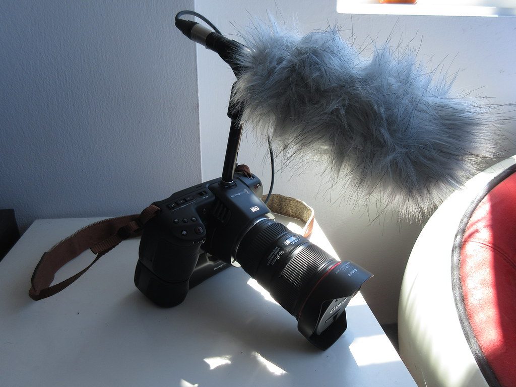 Blackmagic Pocket Cinema 6K and Rode NTG3B microphone with dead wombat