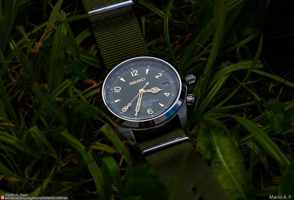 Seiko Alpinist sarb017 with sunburst dial dark gold plated markers