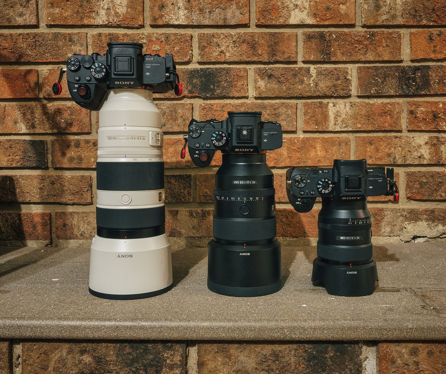 Sony Alpha 7R II, III and IV with Sony lenses (51250202508)