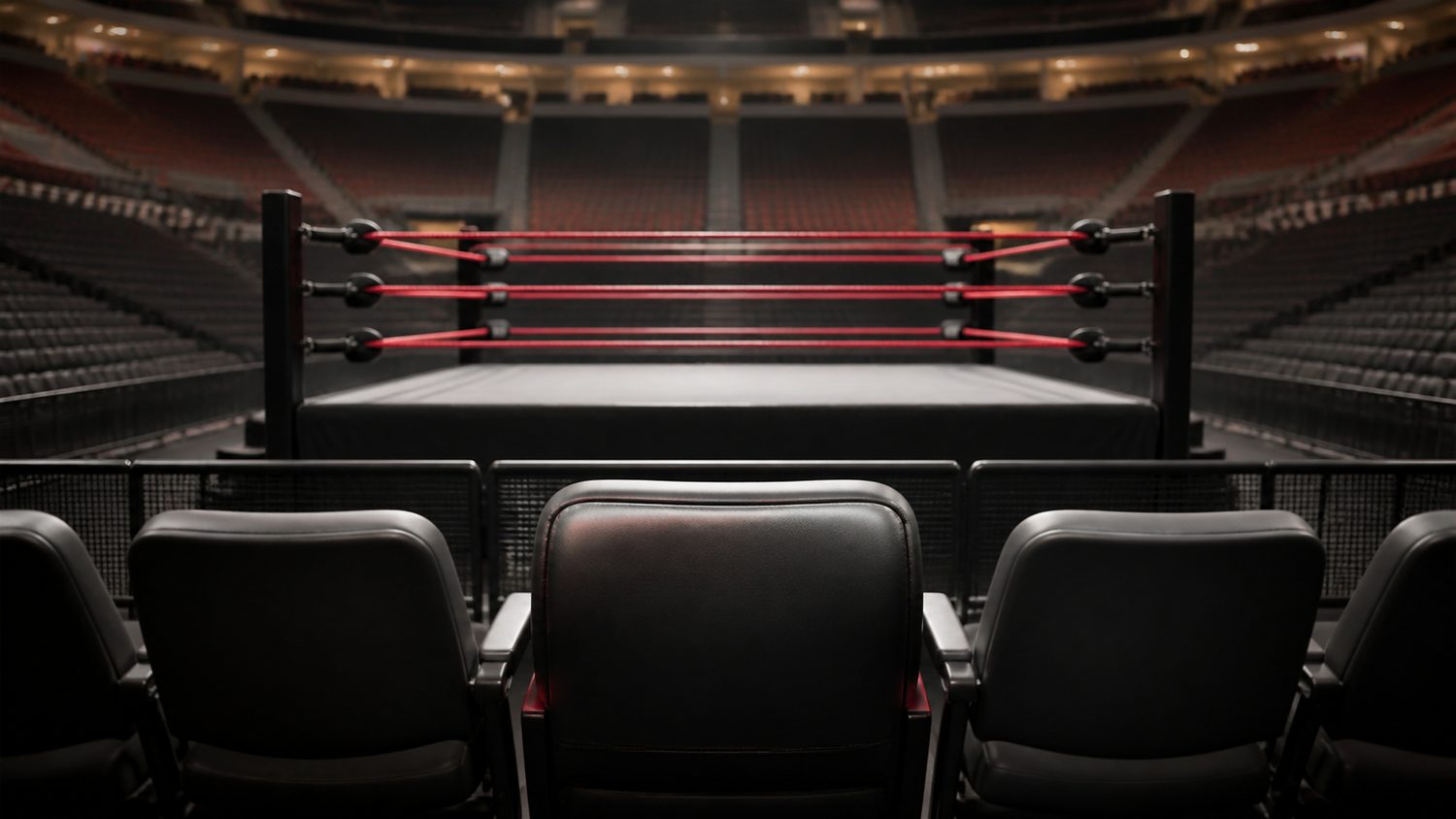 Illustration for seats for wwe event