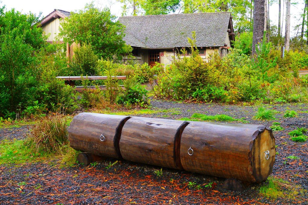 Wooden Bike Rack at Cleawox Lake Day Use Area